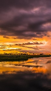 2.6K views · 47 reactions | The many shades of a Duba Plains sunset. As the sky transitions from fiery amber to deep crimson, our team will ensure you have a delicious sundowner on hand to see out the day. Duba Plains  Sam Mokenti | Great Plains Conservation | Facebook