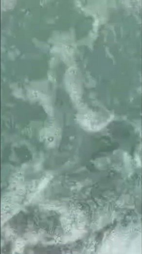 Epic Hotel Room Wrestling with Friends!