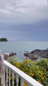 📸📸📸 Với Kodak Mini 3 Retro, chỉ cần 2 bước chụp và in, bạn đã có ngay ảnh xinh mang về. ✨ Chiếc máy in ảnh cầm tay này có gì đặc biệt mà lại được nhiều bạn yêu thích đến vậy? 🌉 Chắc chắn là nhờ vào những tấm ảnh in kích thước vuông vắn, xinh xắn rất lý tưởng cho bạn có thể thỏa sức sáng tạo, trang trí trên mọi ngóc ngách từ tường, bảng cho đến cuốn sổ tay yêu dấu của mình. 🎉 Nhân dịp hè đến, hãy chọn ngay cho mình một chiếc máy in ảnh cầm tay siêu tiện lợi và lưu lại vô vàn khoảnh khắc ý ng