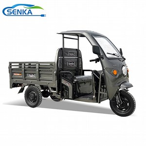 [Hot Item] Senka 1500W Motor High Power 800kg Loading Motorcycles Adults Three-Wheel Electric Cargo Tricycles for Transportation