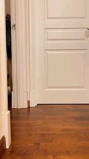 2.8K views · 176 reactions | BigBellesMag on Reels | Facebook