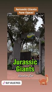 Houston Zoo on Reels