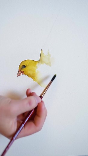 2.3K views · 123 reactions | Female American Goldfinch watercolor painting Original available in my shop Visit paintedwing.com | Painted Wing | Facebook