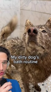 Dirty Dog Bath Routine: Siblings’ Skincare Duet with Derm Reacts