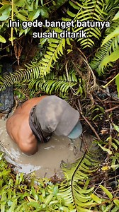 3.4K views · 512 reactions | Gede banget batunya susah banget buat ditarik keluar #gemstones #hunting #agate #crystals #mining | Rajo Chalcedony | Facebook