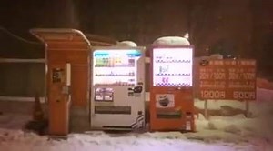 หิมะตกด้วย ^^ | The Moose Grapher