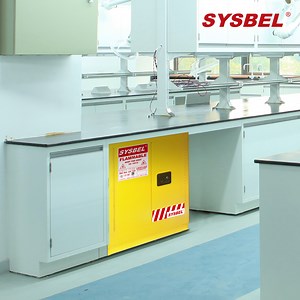 [Hot Item] 19 Gal Safety Storage Cabinet for Flammable Liquids, Laboratory Safety Cabinets (WA0810190)