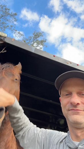 17K views · 1K reactions | Guess who I found playing on the trailer this morning. Mako is ready to be a competition horse. Also, he is the cutest and the sweetest boy. #ranch #farmlife #farmanimals #horse #barrelhorse | Hot Mess Ranch | Facebook