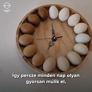 15K views · 160 reactions | A pátyi Kakuk Zsuzsa maga az életigenlés....