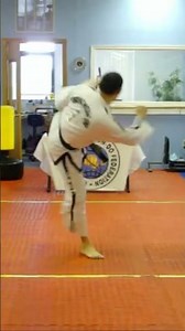 SE JONG TUL TAEKWON-DO GENERAL CHOI HONG HI FOUNDER #taekwondo #sejongtul #generalchoihonghi #tkd