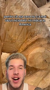 8K views · 76 reactions | Asta numesc eu arta devarata! | Distracție La Maxim Like & Share | Facebook