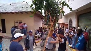 * CHERÁN MICHOACÁN * 《Tradición de Corpus 2020》 | Michoacán en Canto y Belleza