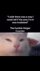 Handy dandy Geiger counter! #Fallout #memes | Fisto