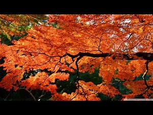 KULIAH PENDAHULUAN 2