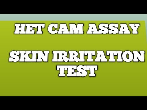 #HET CAM ASSAY
