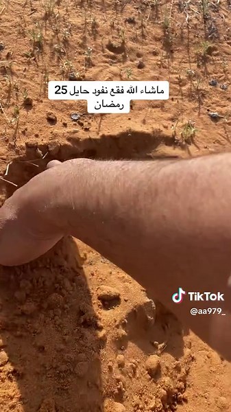 حسابات مقترحة