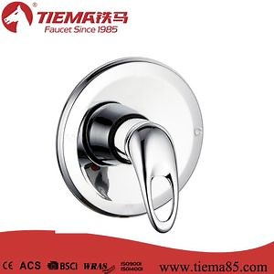 [Hot Item] Concealed Single Lever Shower Wall Mixer (ZS53407)