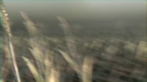 4.4K views · 10 comments | The Locust @the_locust_official “Armless...