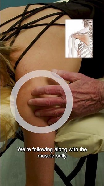 How Do You Palpate the Infraspinatus?