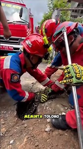 the capture of a large snake that caused a blocked drain