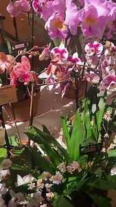 Veranda Magazine on Reels