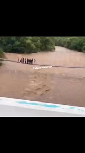 1.6M views · 7K reactions | Esta tarde un grupo de turistas paso por alto las recomendaciones de Pc y entraron al río de jacomulco para tomarse fotos pese a la corriente de agua tan fuerte que estaba debido a la tormenta tropical Erick . | Xalapa en Alerta | Facebook