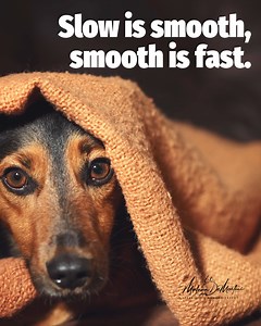 You know my motto: "Slow is smooth, smooth is fast. Desensitization isn’t a race—it’s a trust walk." 🐌 🏃🏽‍♀️ When it comes to overcoming separation anxiety, this is our guiding star. We're not pushing for quick fixes; we're meticulously building dog's alone-time comfort, step by tiny step. It's about earning their trust in your return, and that takes patience, consistency, and a whole lot of love. #MalenaDeMartini #SeparationAnxietyTraining #PatienceIsKey #TrustTheProcess | Treating Separatio