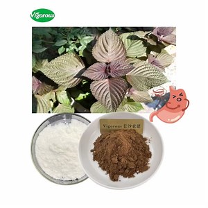 [Hot Item] Natural 100%Pure Bulk Perilla Frutescens Extract Perilla Leaf Extract
