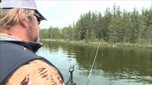 Fishing legend Babe Winkelman knows a thing or two about catching smallies! Watch Babe Winkelman's "Good Fishing" on Sundays at 12pm and Mondays at 1pm EST for FREE on the Waypoint TV channel! You can also watch "Good Fishing" anytime on the Waypoint TV website here: https://bit.ly/3Kqhov1 #WAYPOINT | Waypoint TV | Facebook
