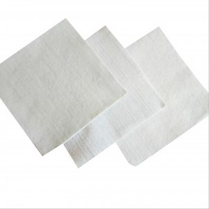 [Hot Item] Geotextile with Needled Punched Method