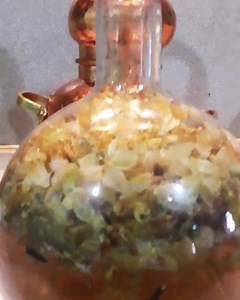 My favourite toy ever: glass alembic during the process of hop destilation!⚗ Check how lovely and magic the process is. Now I can extract the spirit of the plant in a much quicker way: working with two alembics at a time( copper & glass). #flowerwater #copperalembic #glassalembic #destilation | Bangkok Soap Opera