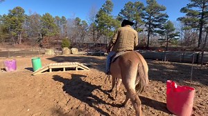 33 reactions · 3 comments | RIO , 15 hand , gentle BUCKSKIN MOLLY MULE | Max Bishop | Facebook