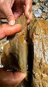 291K views · 15K reactions | ‼️stranded gold vein⚒️ #goldrush #quartz #discovery #fyp #viral #goldjewellery #canada #positivity | Dedi Gold Dollar | Facebook