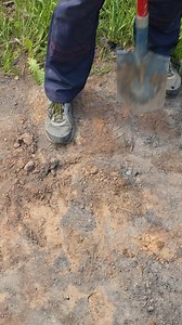 Plant a Tree Sapling with These Simple Steps! | Crafters Creation Station