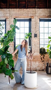 29K views · 1.6K reactions | Just felt right, ya know? If you’ve got...