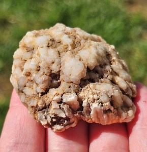Cauliflower Quartz Geode, Geodized Marine Fossil, Mississippian Age, Rare Missouri River Rock, Boone Formation, 63g, Raw Natural Unpolished - Etsy