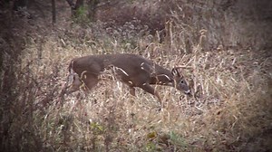 Whitetail Properties President and Owner Dan Perez's wife Anita has a great message for the spouses of passionate hunters. | Whitetail Properties