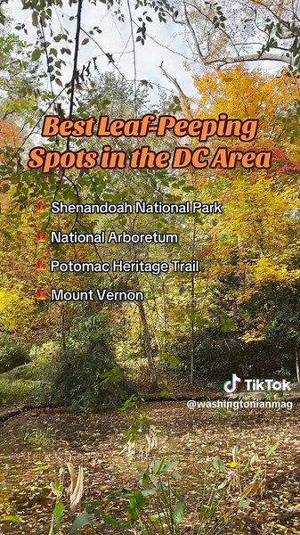 Best Leaf-Peeping Spots in Washington DC This Fall