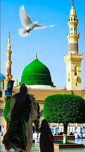 🥹🤲❣️✨ #Islamic #status #shortvideo