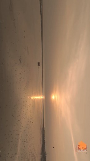 When you think of India’s most beautiful beaches, think Gujarat! Whether you’re a peace seeker or adventure lover, Gujarat’s coastal havens will be an incredible experience. From Somnath to Shivrajpur beach, start with exploring one and you’ll want to visit them all. This year, indulge in your next vacation in Gujarat, a land steeped in adventure and history. Mulubhai Bera #gujarattourism #gujarat #tourism #beachesingujarat #beachdestination #besttouristplaces #tourismingujarat #shivrajpurbeach 