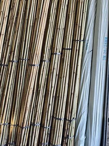 [Hot Item] Commercial Grade Large Moso Bamboo Poles Versatile for Decoration and Structural Building Sourced Directly From Factory