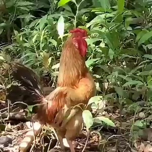 3.9K views · 79 reactions | The same God I sinned against yesterday, woke me up today. God I'm grateful  GOOD MORNING | Simone Findley | Facebook