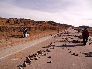 Arequipa: Panamericana Sur bloqueada por fuerte sismo