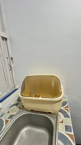 Dish Rack with Cover: https://vt.tiktok.com/ZSHnNVn67W9Ua-r4ifD/ | Ice Detoizkie