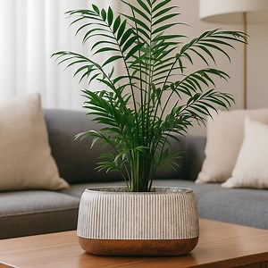 [Hot Item] Wholesale Cheap Desktop Antique Planter Plastic Pot De Fleur with Coffee Edge Indoor