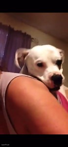 Home alone with dog