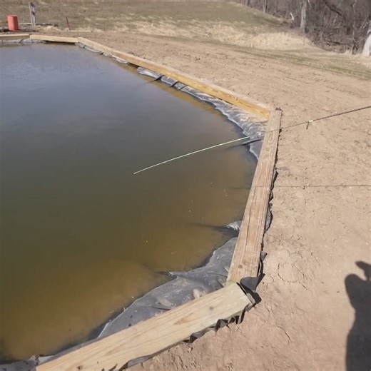 WILD!!! 🐟 | Andrew Flair