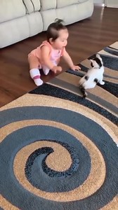 1.8M views · 10K reactions | #juegos - Así son los nuevos juguetes el china #baby #bebes #gatos #juegos #animales | NR Noticias | Facebook