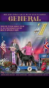 GENERAL ⭐️ BISS GCHS Chancellor Fa Mulan Stealth Fighter #7 ROTTWEILER (breed) GROUP WINNING BEST IN SPECIALTY SHOW #AKC #ADF #ROTTWEILER #rottie #workingdog | American Dog Fancier | Facebook