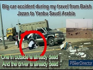 Big Car accident and monkey is dead being run over the car.